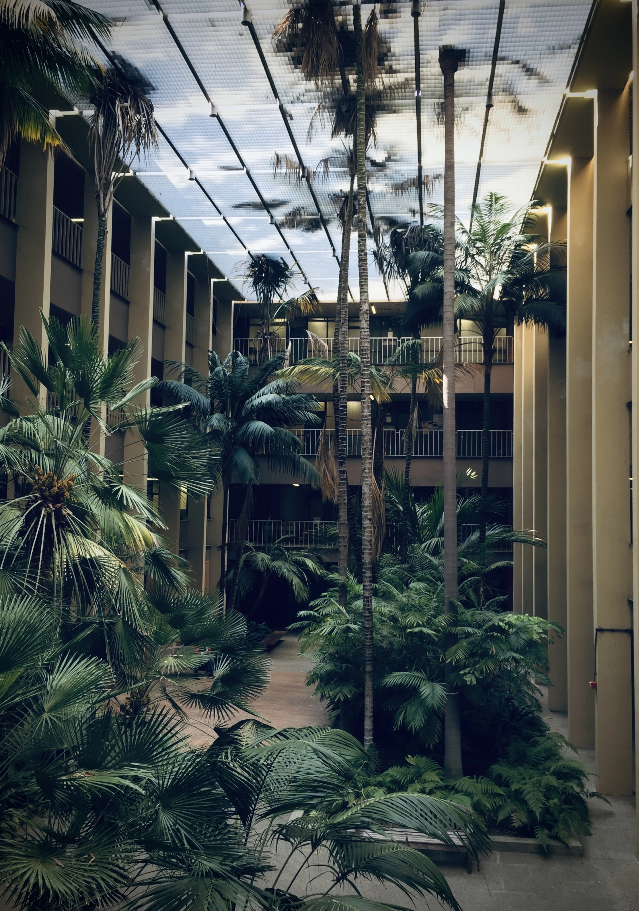 UCLA, Los Angeles